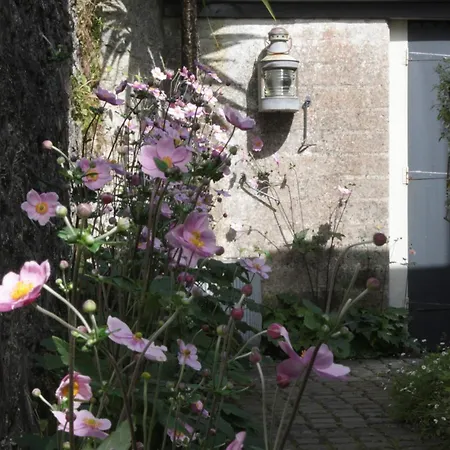Antonia'S Pearls Villa St Austell Exterior photo